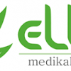 ELBE